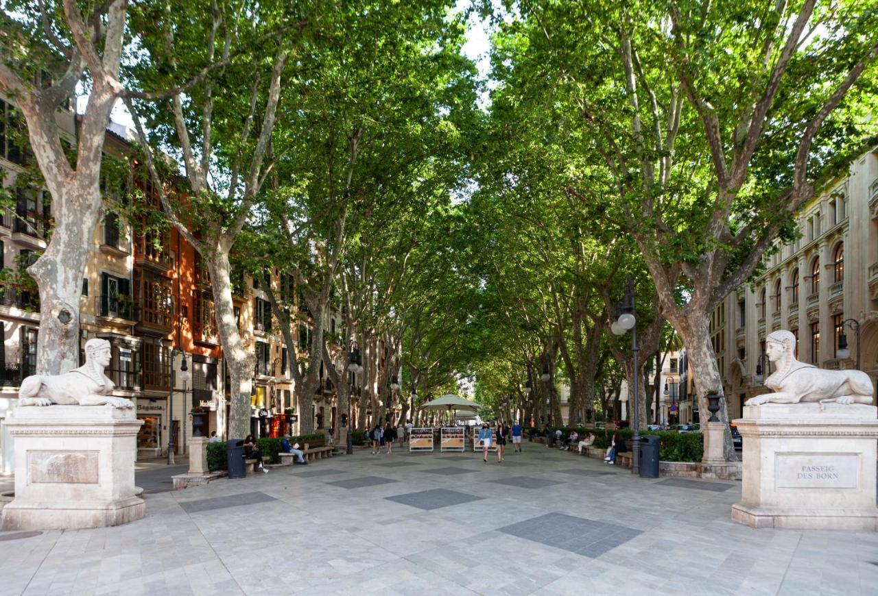 Nivia Born Boutique Hotel Πάλμα ντε Μαγιόρκα Εξωτερικό φωτογραφία